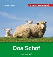 bokomslag Das Schaf