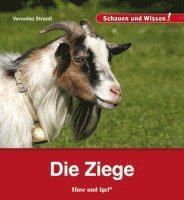 bokomslag Die Ziege