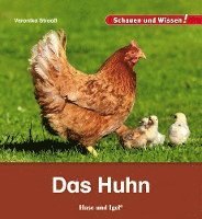 bokomslag Das Huhn