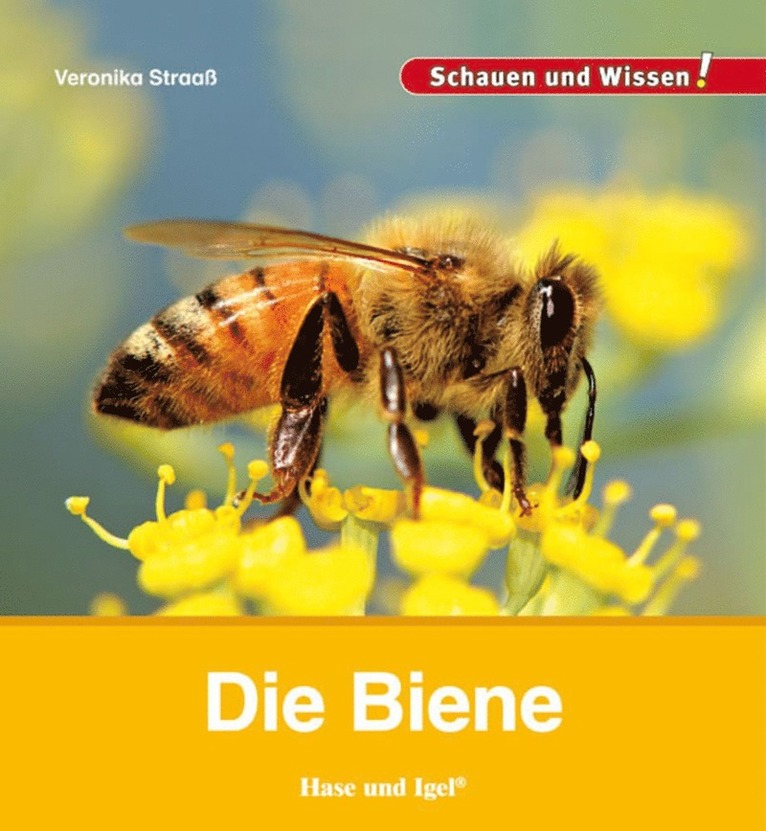 Veronika Straaß - Die Biene, Inbunden