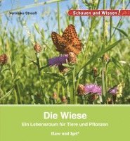 Die Wiese 1