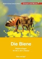bokomslag Die Biene - Kopiervorlagen für die 2. bis 4. Klasse
