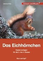 bokomslag Das Eichhörnchen - Kopiervorlagen für die 2. bis 4. Klasse