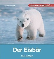 bokomslag Der Eisbär