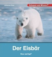 Der Eisbär 1