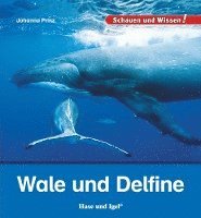 bokomslag Wale und Delfine
