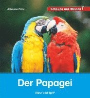 Der Papagei 1