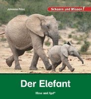 bokomslag Der Elefant