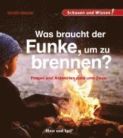 bokomslag Was braucht der Funke, um zu brennen?