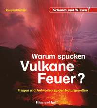 bokomslag Warum spucken Vulkane Feuer?