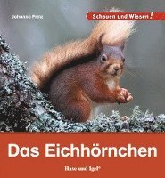 bokomslag Das Eichhörnchen