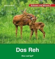 Das Reh 1