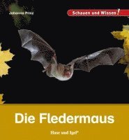 bokomslag Die Fledermaus