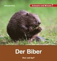 bokomslag Der Biber