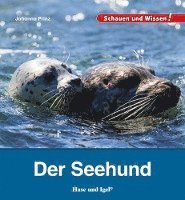 bokomslag Der Seehund