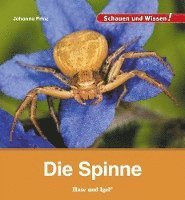 bokomslag Die Spinne