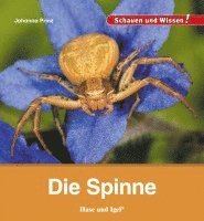 Johanna Prinz - Die Spinne, Inbunden