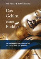 bokomslag Das Gehirn eines Buddha