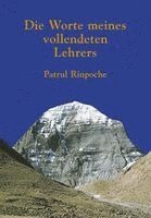 Patrul Rinpoche - Die Worte meines vollendeten Lehrers, Häftad