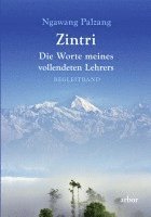 Zintri 1