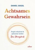 Daniel Siegel - Achtsames Gewahrsein, Häftad