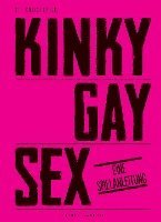 bokomslag Kinky Gay Sex