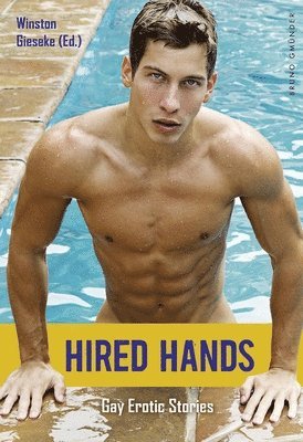 bokomslag Hired Hands