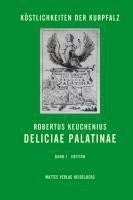 bokomslag Deliciae Palatinae