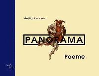 bokomslag Panorama-Poeme