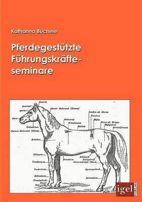 Katharina Büchele - Pferdegestützte Führungskräfteseminare, Häftad