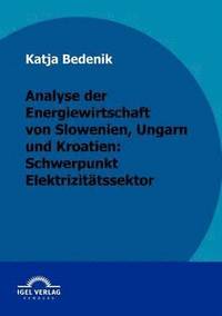 bokomslag Analyse der Energiewirtschaft von Slowenien, Ungarn und Kroatien