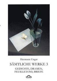 bokomslag Hermann Ungar