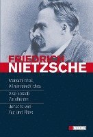 bokomslag Friedrich Nietzsche: Hauptwerke