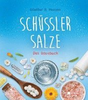 bokomslag Schüßler-Salze