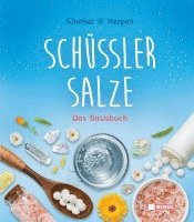 bokomslag Schüßler-Salze