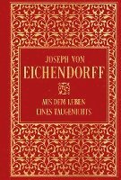bokomslag Aus dem Leben eines Taugenichts