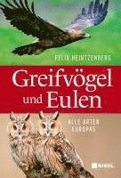 bokomslag Greifvögel und Eulen