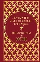 bokomslag Notizbuch Goethe