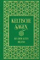 bokomslag Keltische Sagen aus dem alten Irland