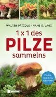 1 x 1 des Pilzesammelns 1