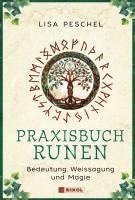 bokomslag Praxisbuch Runen