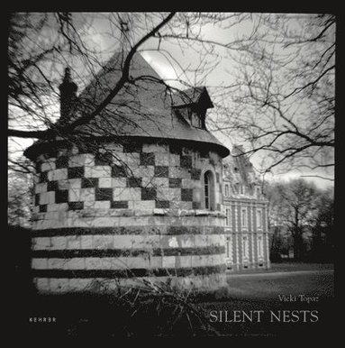 bokomslag Silent Nests