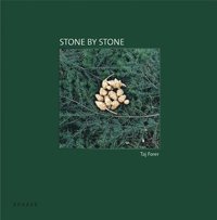 bokomslag Stone by Stone