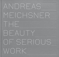 bokomslag Beauty of Serious Work