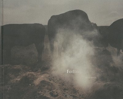 Elis Hoffman - Fading, Inbunden