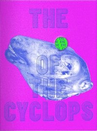 bokomslag Eye of the Cyclops