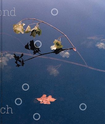 Beyond Reach, Inbunden