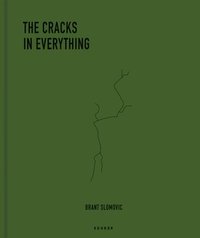 bokomslag Cracks in Everything