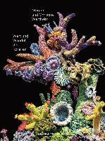 Wert und Wandel der Korallen. Christine und Margaret Wertheim 1