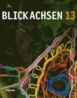 bokomslag Blickachsen 13